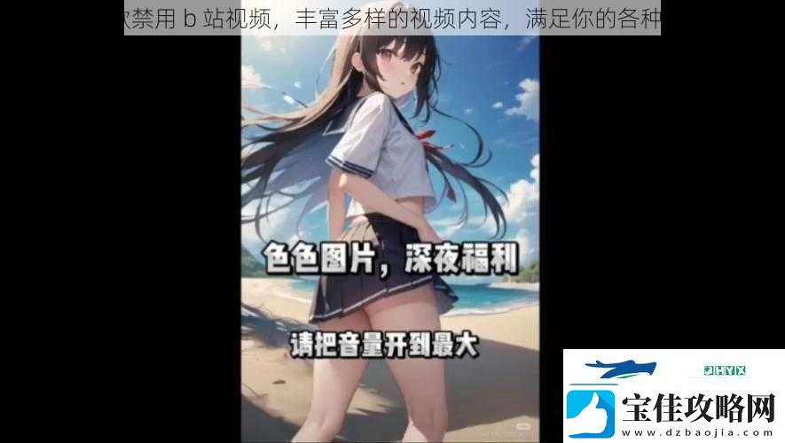18-款禁用-b-站视频-丰富多样的视频内容-满足你的各种需求