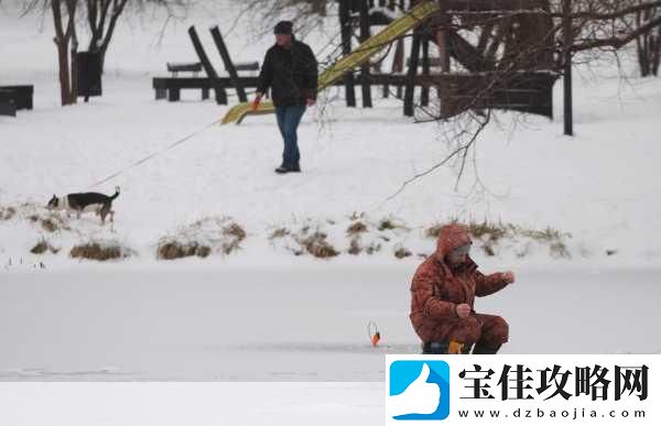 冰原守卫者的悠然垂钓之旅