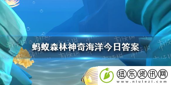 以下哪种鲨鱼能跳跃出水面-神奇海洋12月11日答案