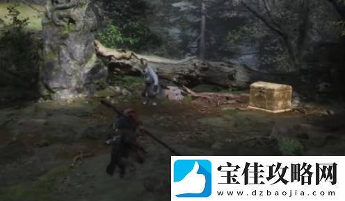 黑神话悟空苍狼林宝箱位置在哪