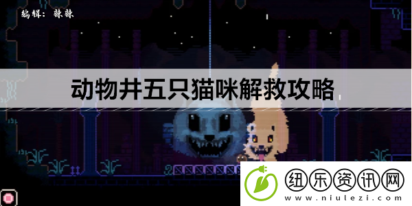 动物井五只猫咪解救攻略