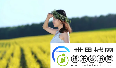 每天都在汆肉中醒来鲈鱼酒柜：一段简单却丰富的生活哲学