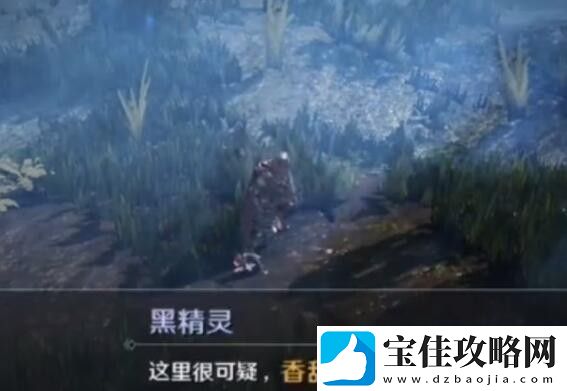 黑色沙漠手游华丽的空壳任务怎么做