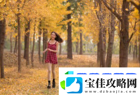 大奉打更人插花弄玉成语意思-友：探寻古韵中的精致艺术