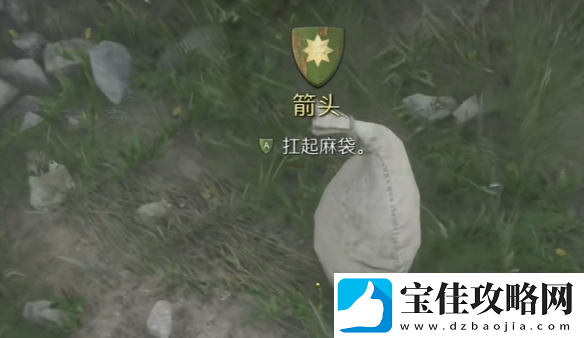 天国拯救2支线任务箭头图文攻略