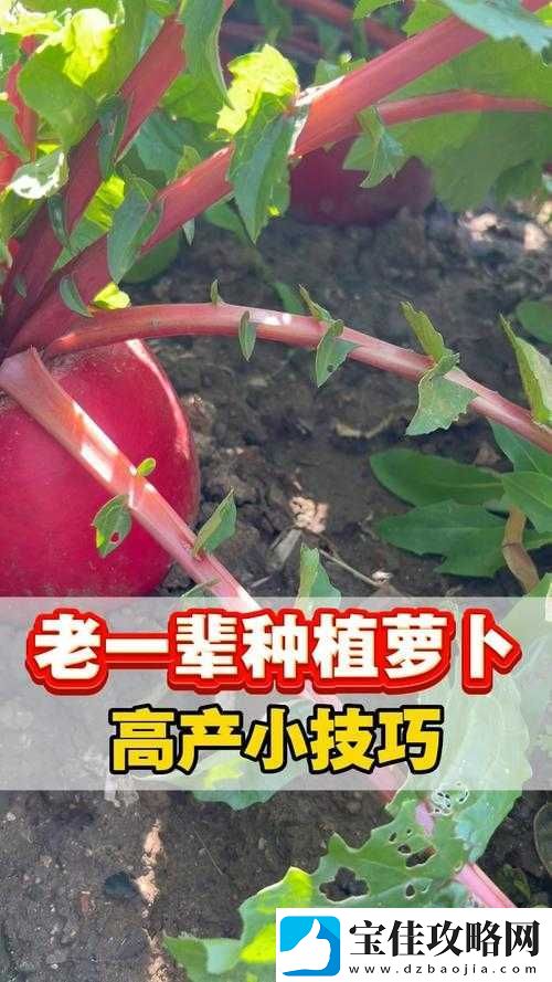缺氧游戏中冰萝卜的种植技巧与全面解析指南-从选种到收获