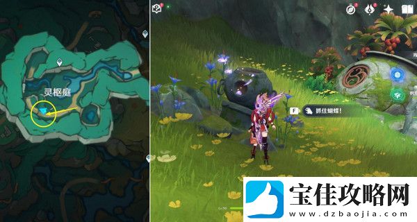 原神彩蝶翩然过谷中任务攻略