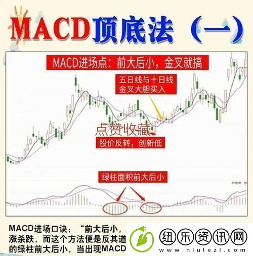 “MACD周期共震狂想曲：崛起的新星界的奇葩”