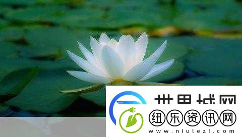 女人晚上莲花开的害处：1.-女性夜间莲花开：对健康的潜在影响