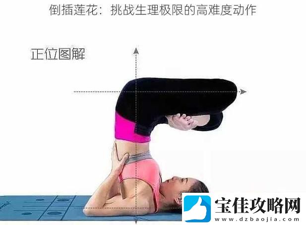 探索“倒插莲花图片”的艺术魅力与文化象征