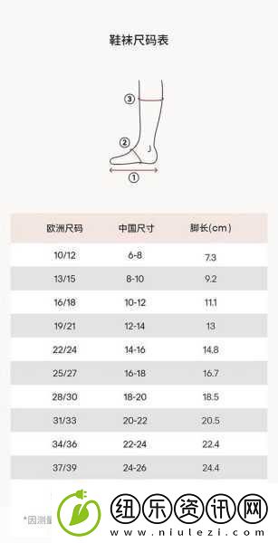欧洲尺码日本尺码专线：1.-＂欧洲与日本尺码对照-轻松选购服饰