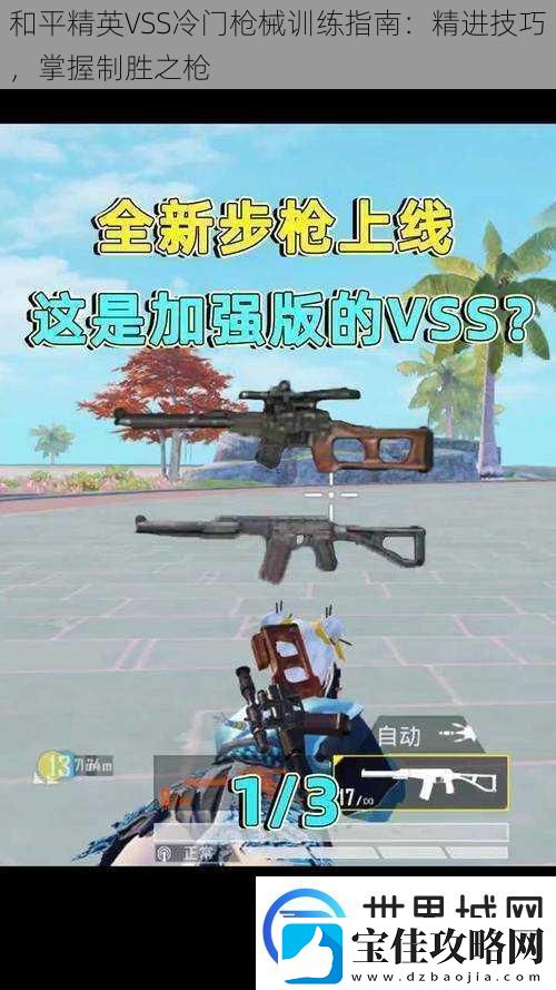 和平精英VSS冷门枪械训练指南