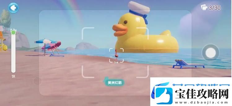 心动小镇鸟类观察图鉴大全