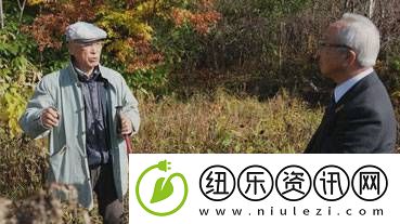 游你扯淡