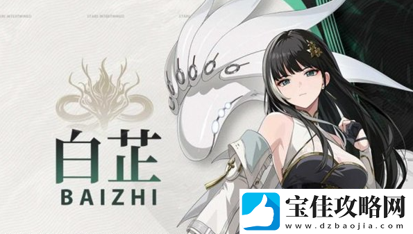 鸣潮白芷声骸推荐