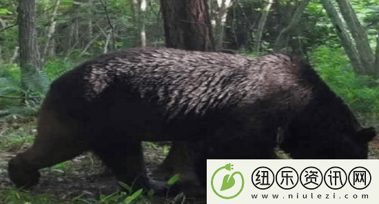 游你扯淡