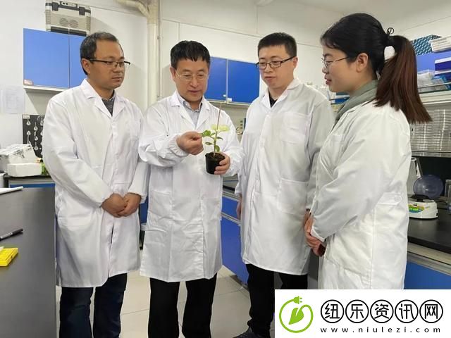 畜牧新篇