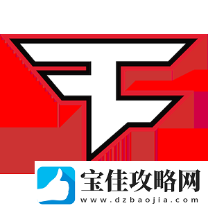 征战11年