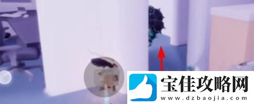 光遇猫窝地图位置介绍
