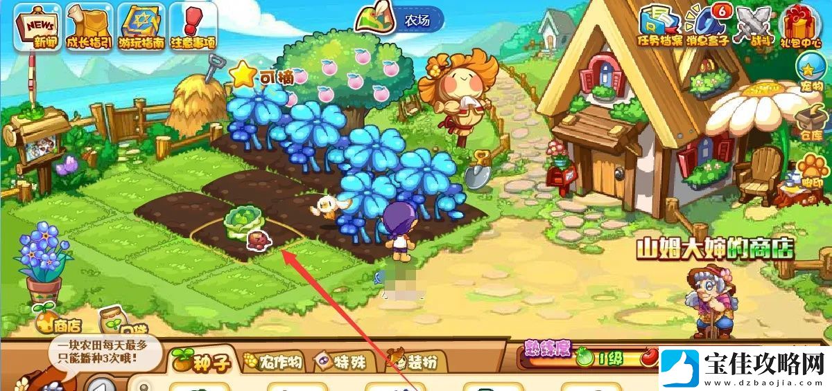 洛克王国大白菜在哪买