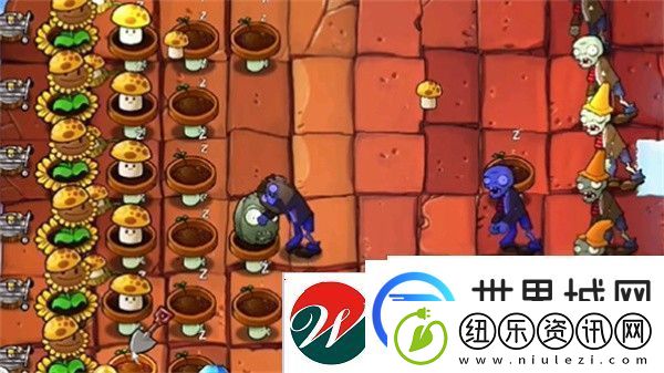 植物大战僵尸杂交版冒险模式第45关怎么过