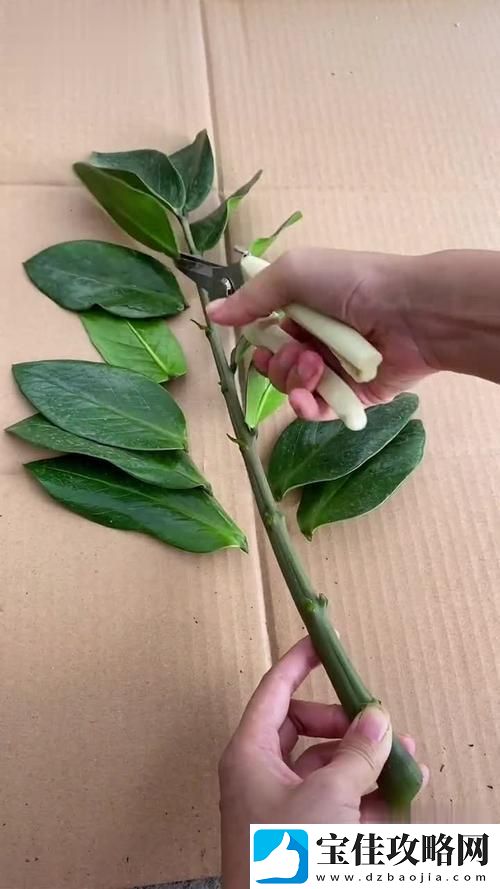 女性坐着扦插BB有哪些具体好处-友：这简直是解放双手的神器！