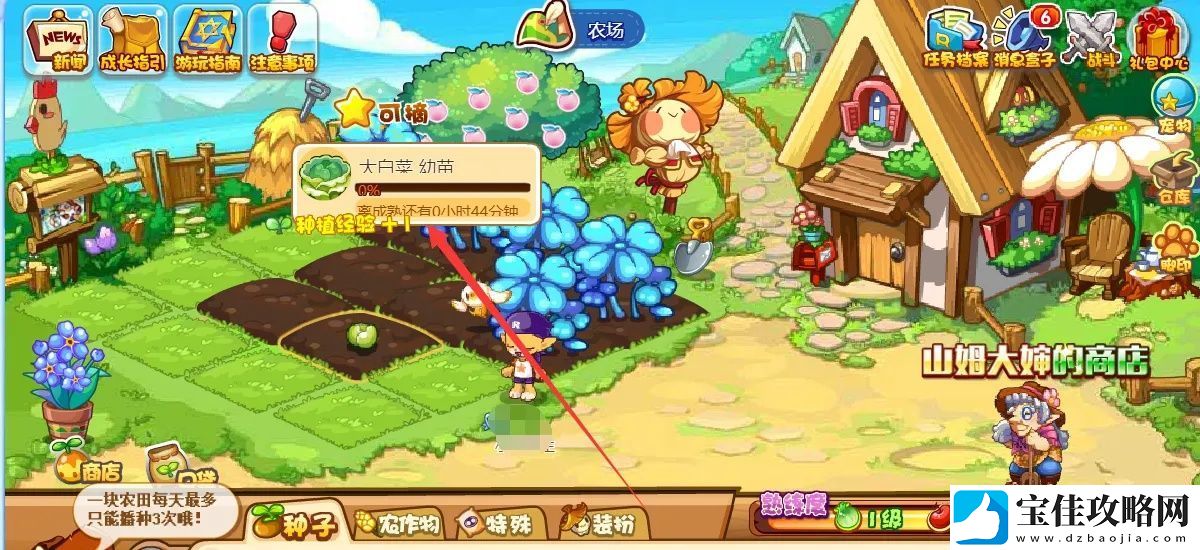 洛克王国大白菜在哪买