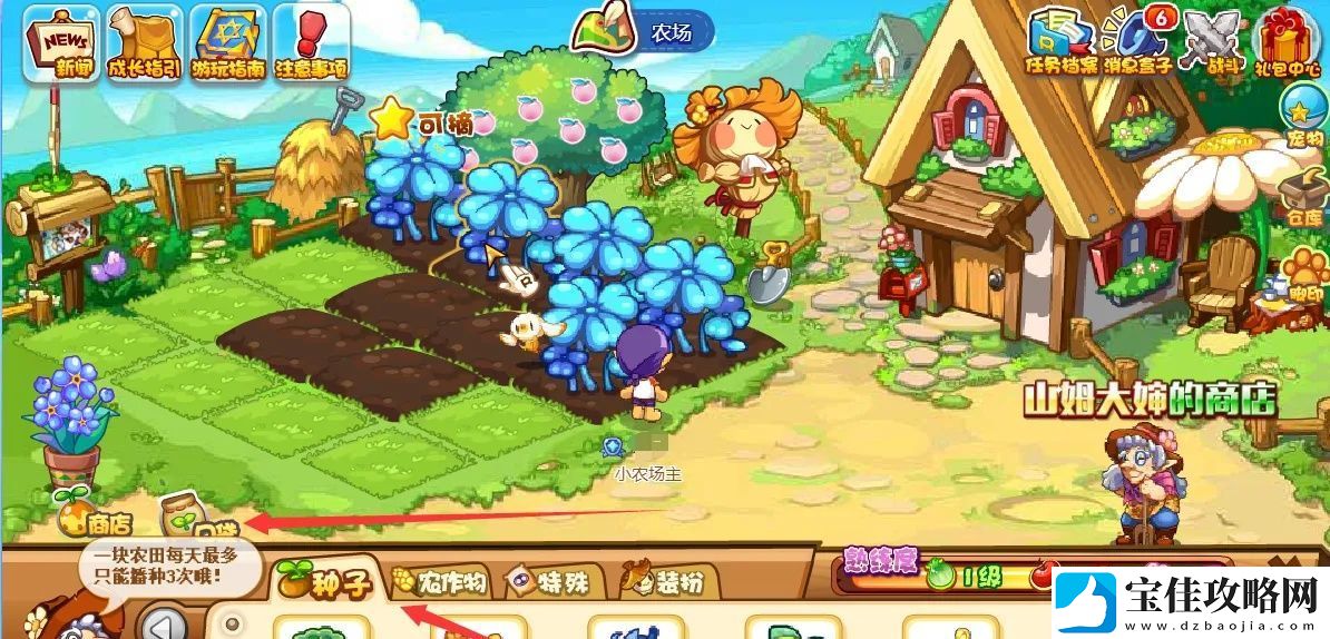 洛克王国大白菜在哪买