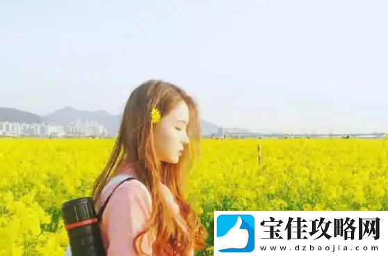 新继拇5：这是什么神奇的组合