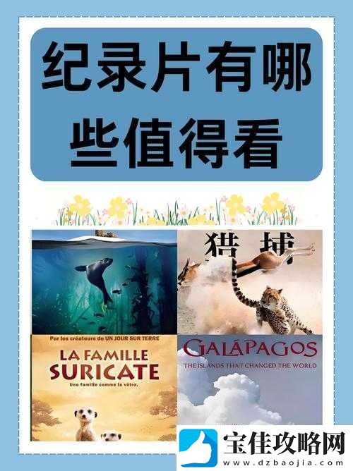 成片一卡二卡三卡观看：探寻其背后的意义与价值