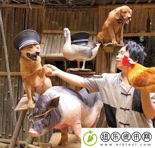 人与畜禽corporation