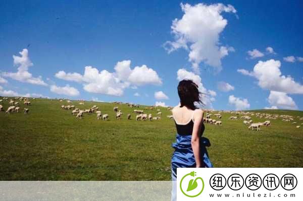 天堂草原电视剧在线观看图片高清