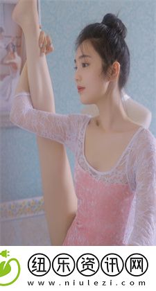 菠萝蜜在线观看免费观看电视