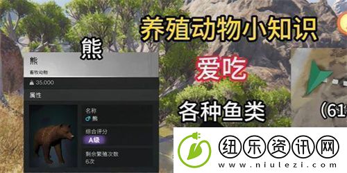 七日世界养什么动物好