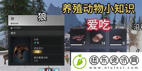 七日世界养什么动物好